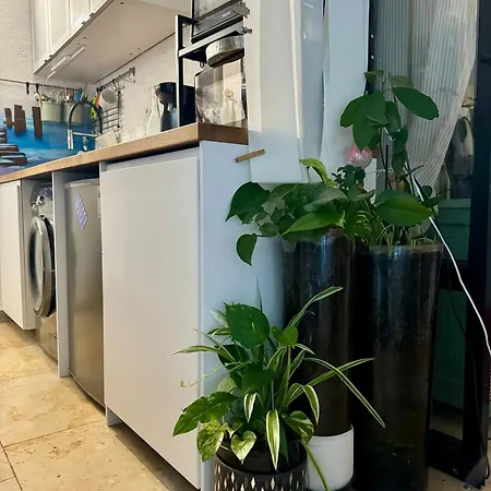 Appartement Rez-de-chaussee *